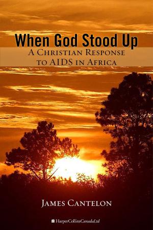 Cover of the book When God Stood Up by Dan Liebman