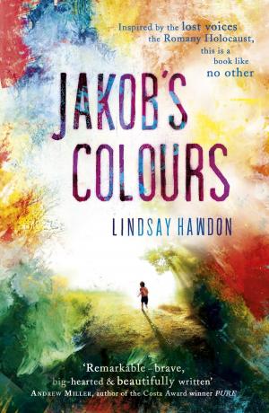 Cover of the book Jakob's Colours by Mary Stewart