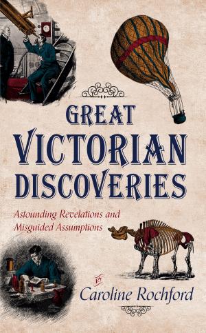 Cover of the book Great Victorian Discoveries by Helen Amy