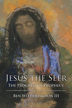Cover of the book Jesus the Seer by Terra Schwerin Rowe