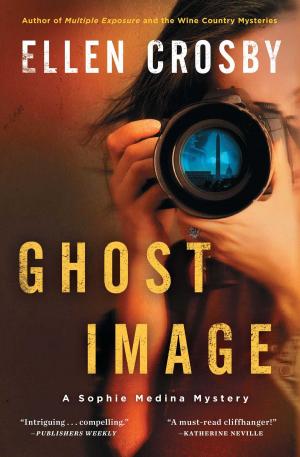 Cover of the book Ghost Image by Sarah Micklem