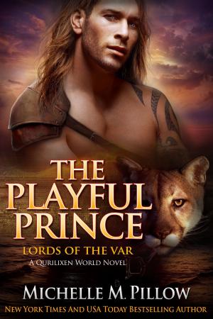 Book cover of The Playful Prince