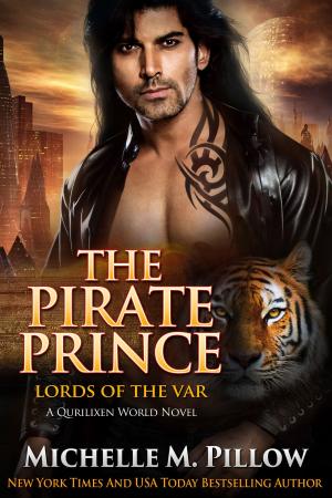 Book cover of The Pirate Prince