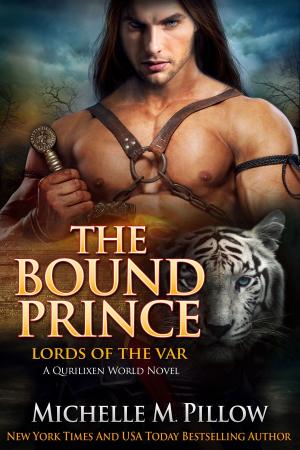 Book cover of The Bound Prince