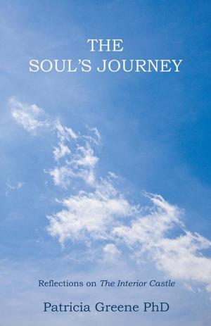 Cover of the book The Soul’S Journey by Barbara J. Faison