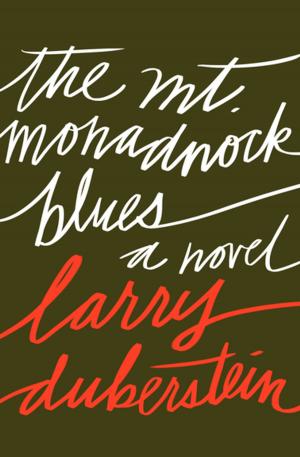 Book cover of The Mt. Monadnock Blues