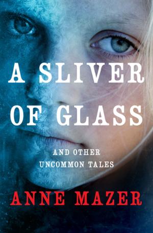 bigCover of the book A Sliver of Glass by 