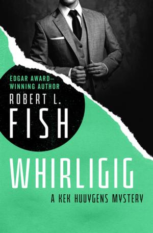 Cover of the book Whirligig by Christine Chianti