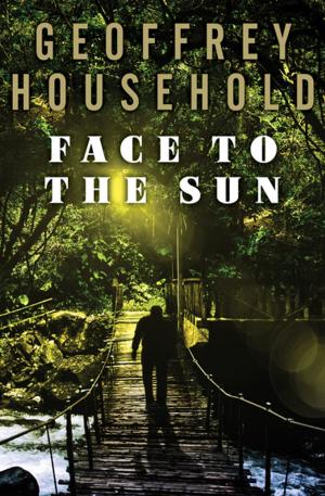bigCover of the book Face to the Sun by 