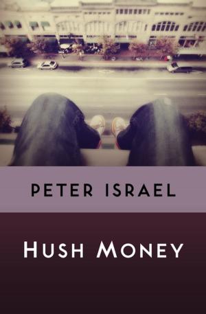 Cover of the book Hush Money by Janice Gallen