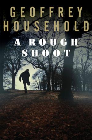 Cover of the book A Rough Shoot by Elizabeth A. Lynn