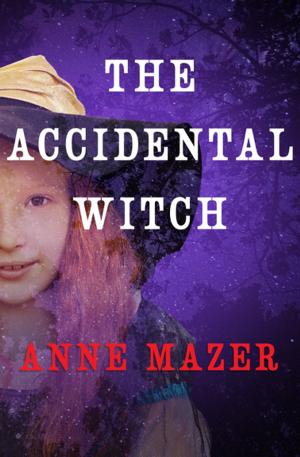 Cover of the book The Accidental Witch by Phyllis A. Whitney