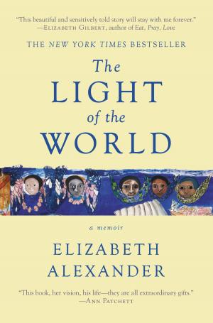 Cover of the book The Light of the World by April Hunt