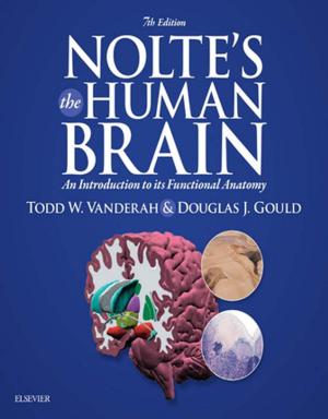 Book cover of Nolte’s The Human Brain E-Book