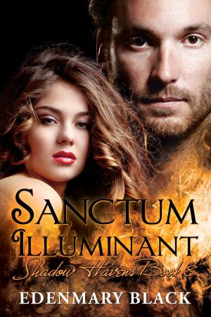 Cover of the book Sanctum Illuminant: Shadow Havens Book 8 by Vincent Gabriel