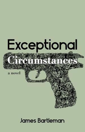Cover of the book Exceptional Circumstances by Victor Suthren