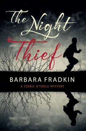 Cover of the book The Night Thief by Sasha Pruett