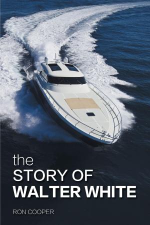 Cover of the book The Story of Walter White by C. S. Sheehan