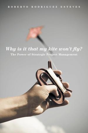 Book cover of Why is it that my kite won’t fly?
