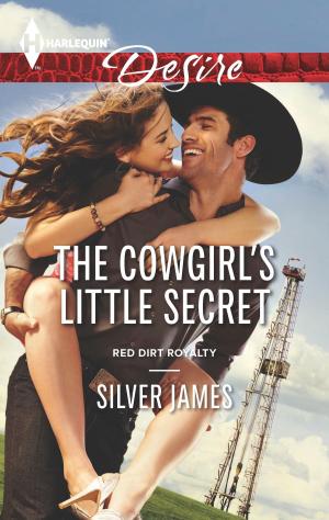 Cover of the book The Cowgirl's Little Secret by Jenni Fletcher