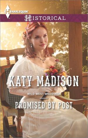 Cover of the book Promised by Post by Cara Summers