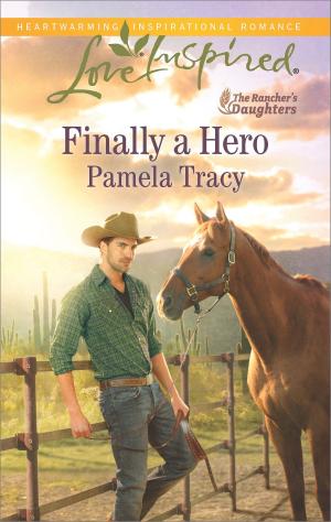 Cover of the book Finally a Hero by Emmie Dark