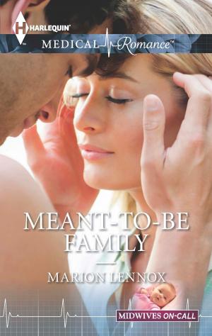 Cover of the book Meant-to-Be Family by Kimberly Van Meter