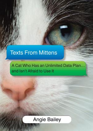 Cover of the book Texts from Mittens by B.J. Daniels