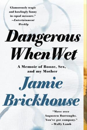 Cover of the book Dangerous When Wet by Ali Larter