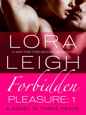 bigCover of the book Forbidden Pleasure: Part 1 by 