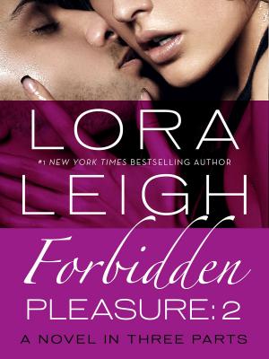 Book cover of Forbidden Pleasure: Part 2