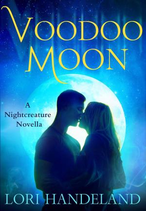Book cover of Voodoo Moon