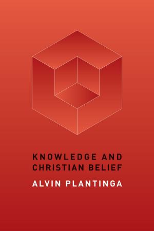 bigCover of the book Knowledge and Christian Belief by 