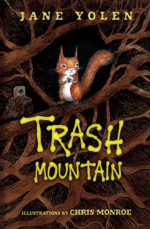 Cover of the book Trash Mountain by Edgar Allan Poe