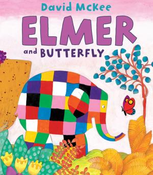 Book cover of Elmer and Butterfly