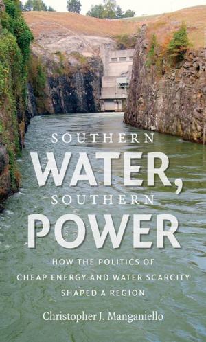 Cover of the book Southern Water, Southern Power by Gary W. Gallagher