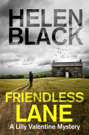 bigCover of the book Friendless Lane by 