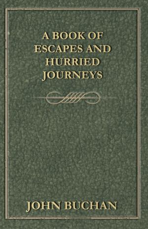 bigCover of the book A Book of Escapes and Hurried Journeys by 