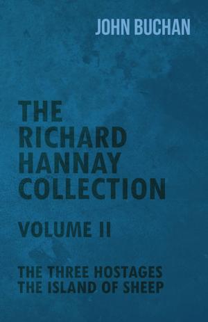 bigCover of the book The Richard Hannay Collection - Volume II - The Three Hostages, the Island of Sheep by 