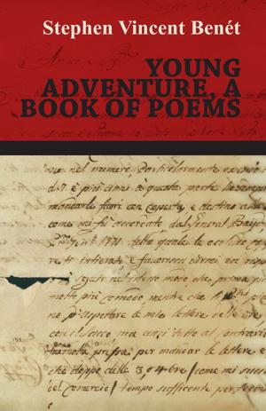 Cover of the book Young Adventure, a Book of Poems by G. N. Potanins
