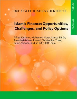 Cover of the book Islamic Finance by Israel Fainboim Yaker, Ian Mr. Lienert