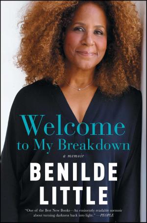 Cover of the book Welcome to My Breakdown by Carol Rainey, Budd Hopkins
