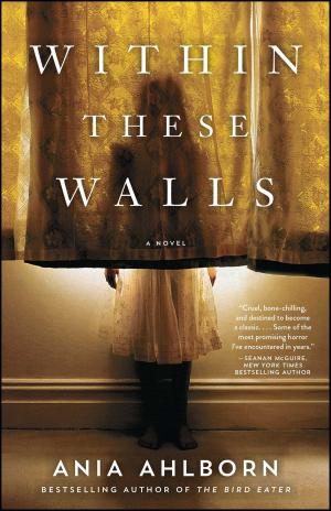 Cover of the book Within These Walls by Jim Butcher, Kevin Hearne, Seanan McGuire, Kelley Armstrong, Jonathan Maberry, Jeff Somers