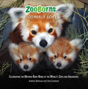 Book cover of ZooBorns Motherly Love