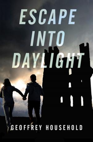 Cover of the book Escape into Daylight by Robin McKinley