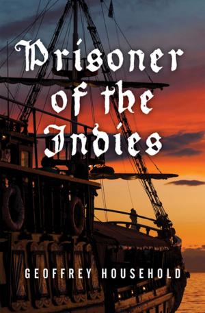 Book cover of Prisoner of the Indies