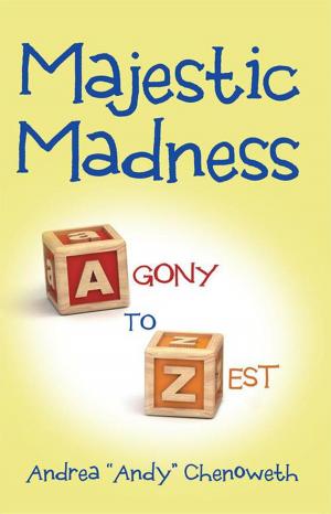 Cover of the book Majestic Madness by SD Brewer