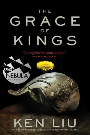 Cover of the book The Grace of Kings by David Papa-Adams