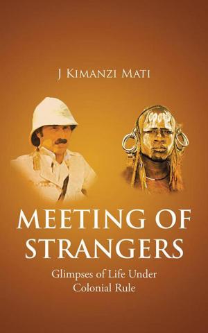 Cover of the book Meeting of Strangers by Dave Baker
