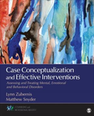 bigCover of the book Case Conceptualization and Effective Interventions by 